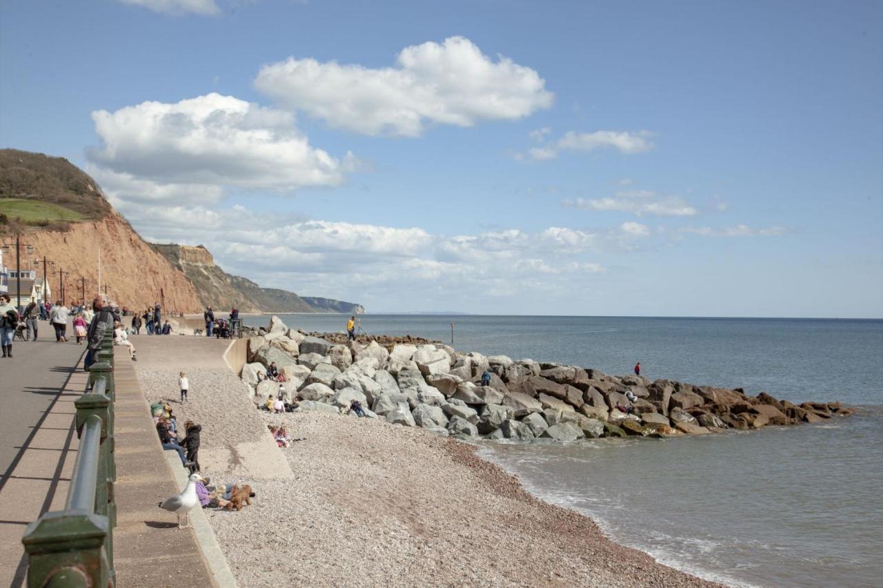 Cobblers Cottage Sidmouth Dış mekan fotoğraf