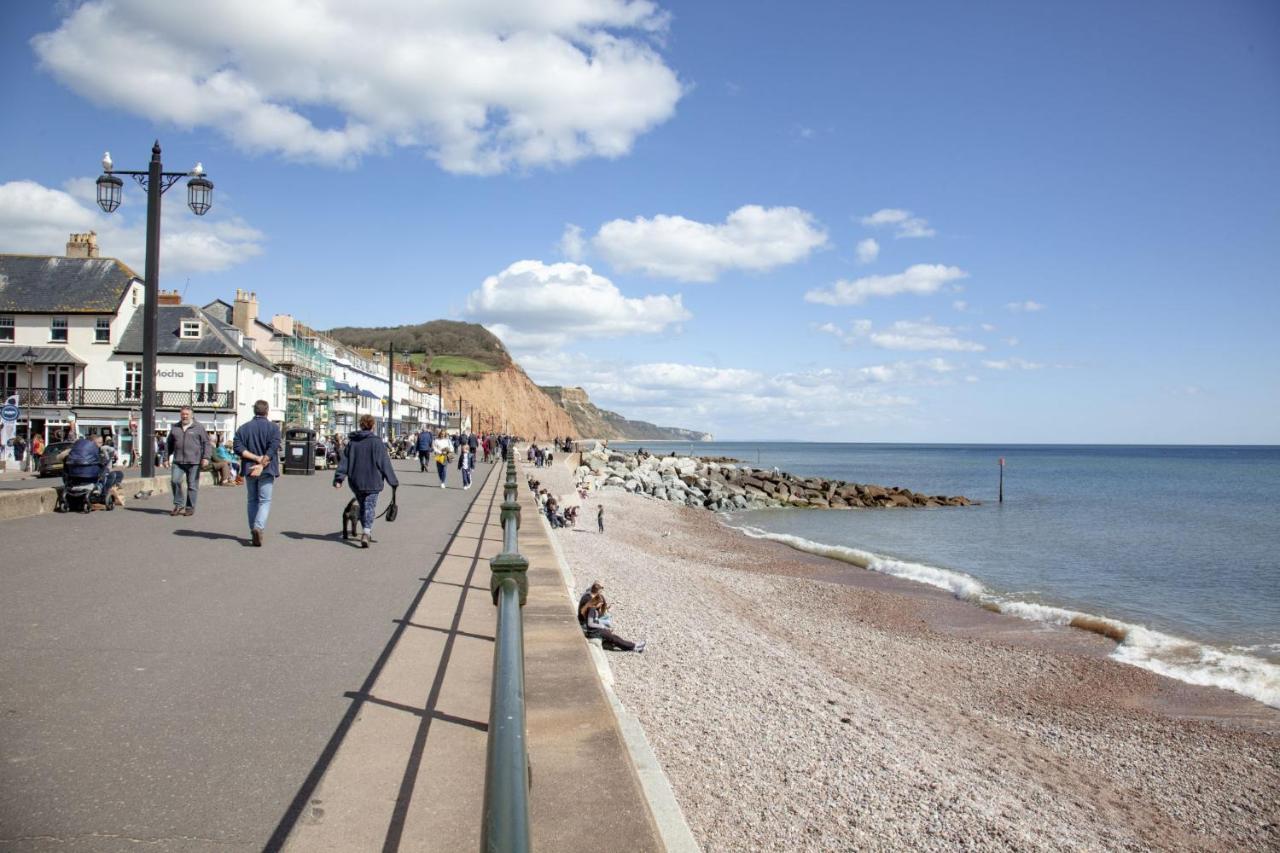 Cobblers Cottage Sidmouth Dış mekan fotoğraf